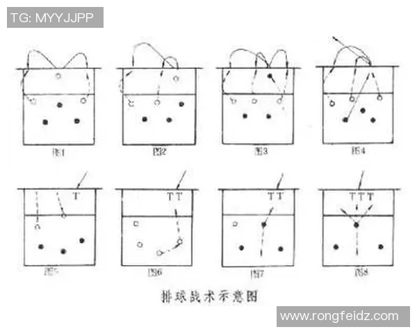 深圳排球队灵活性对比分析揭示战术优势与发展潜力 深圳排球队灵活性对比分析揭示战术优势与发展潜力