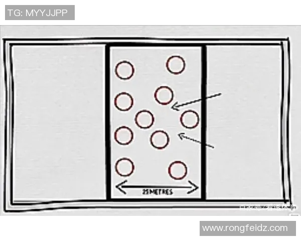 南京排球队区域防守体系解析与战术应用探讨